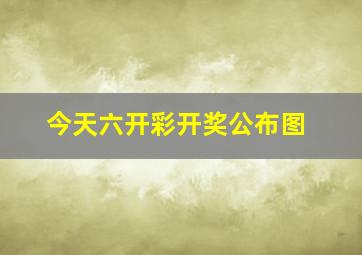 今天六开彩开奖公布图