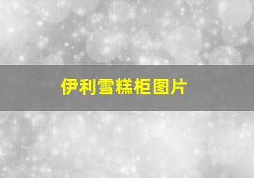 伊利雪糕柜图片