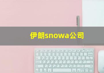 伊朗snowa公司