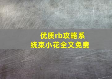 优质rb攻略系统寀小花全文免费