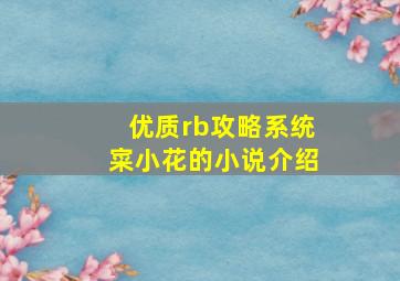 优质rb攻略系统寀小花的小说介绍