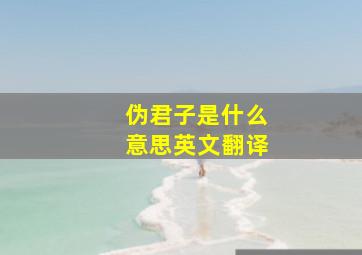 伪君子是什么意思英文翻译