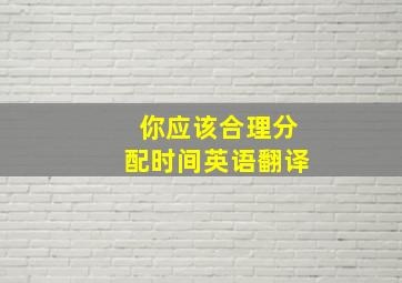 你应该合理分配时间英语翻译