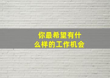 你最希望有什么样的工作机会