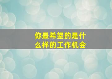 你最希望的是什么样的工作机会