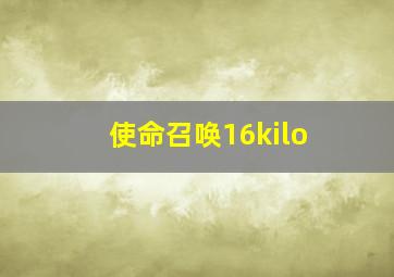 使命召唤16kilo