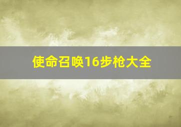 使命召唤16步枪大全