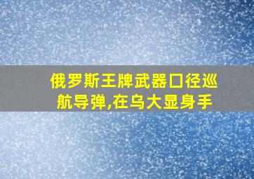 俄罗斯王牌武器囗径巡航导弹,在乌大显身手