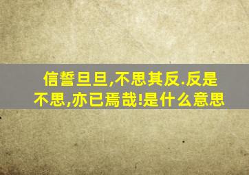 信誓旦旦,不思其反.反是不思,亦已焉哉!是什么意思