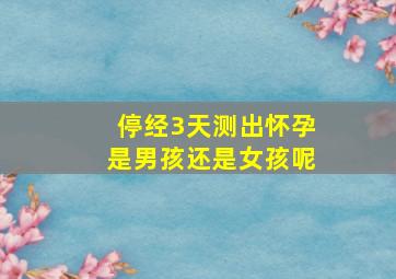 停经3天测出怀孕是男孩还是女孩呢