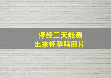 停经三天能测出来怀孕吗图片