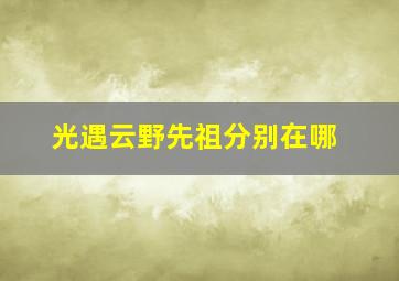 光遇云野先祖分别在哪