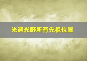 光遇光野所有先祖位置