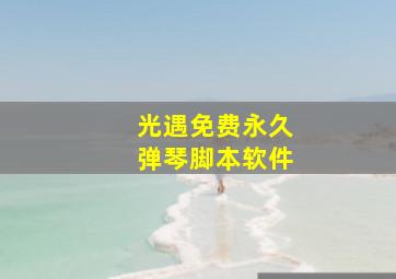 光遇免费永久弹琴脚本软件