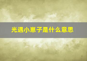 光遇小崽子是什么意思