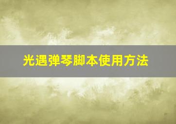 光遇弹琴脚本使用方法