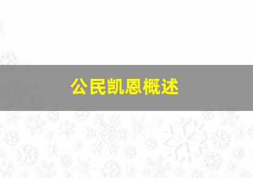 公民凯恩概述