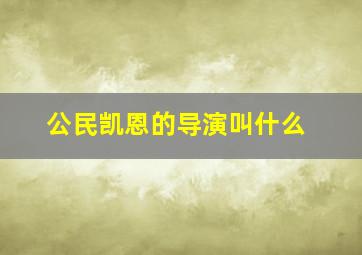 公民凯恩的导演叫什么