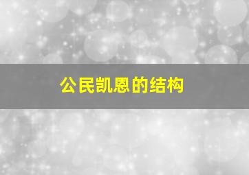 公民凯恩的结构