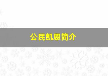 公民凯恩简介