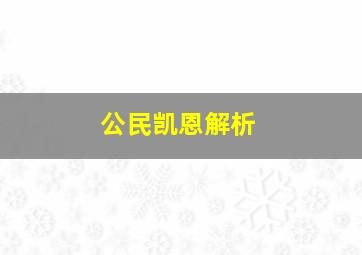 公民凯恩解析