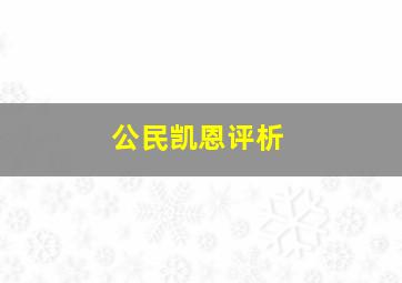 公民凯恩评析