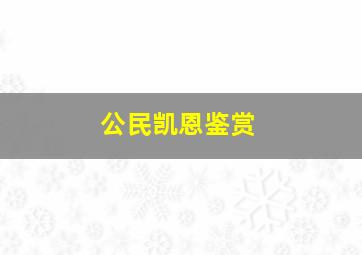 公民凯恩鉴赏