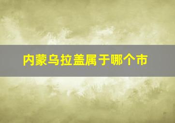 内蒙乌拉盖属于哪个市