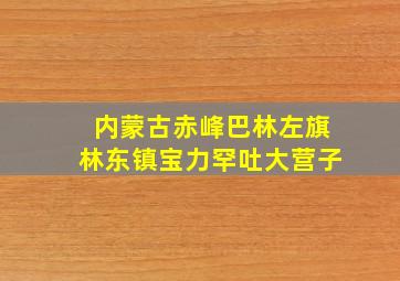 内蒙古赤峰巴林左旗林东镇宝力罕吐大营子