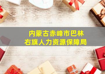 内蒙古赤峰市巴林右旗人力资源保障局