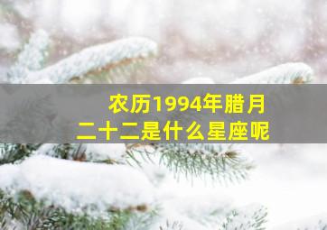 农历1994年腊月二十二是什么星座呢