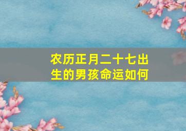 农历正月二十七出生的男孩命运如何