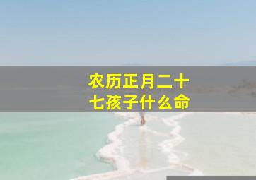 农历正月二十七孩子什么命