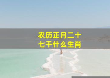 农历正月二十七干什么生肖