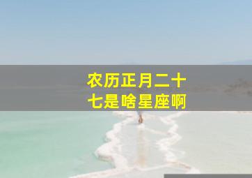 农历正月二十七是啥星座啊