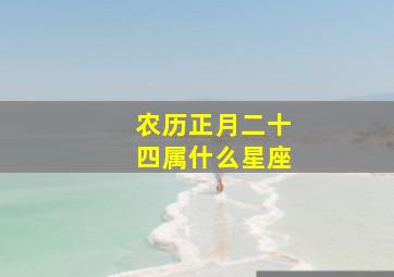 农历正月二十四属什么星座