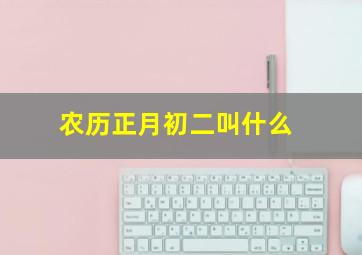 农历正月初二叫什么