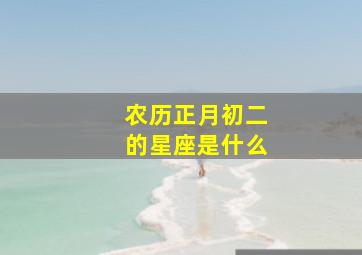 农历正月初二的星座是什么