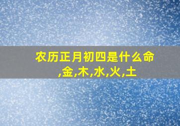 农历正月初四是什么命,金,木,水,火,土