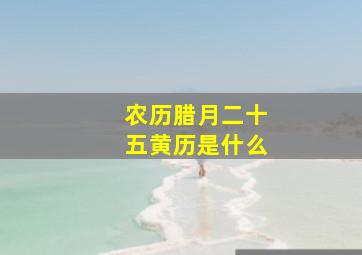 农历腊月二十五黄历是什么