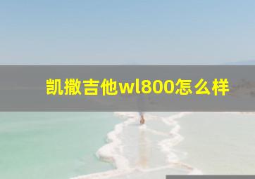 凯撒吉他wl800怎么样