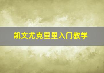 凯文尤克里里入门教学