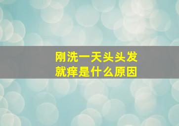 刚洗一天头头发就痒是什么原因