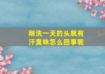 刚洗一天的头就有汗臭味怎么回事呢