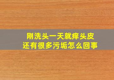 刚洗头一天就痒头皮还有很多污垢怎么回事