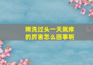 刚洗过头一天就痒的厉害怎么回事啊