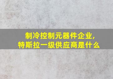 制冷控制元器件企业,特斯拉一级供应商是什么