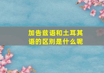 加告兹语和土耳其语的区别是什么呢