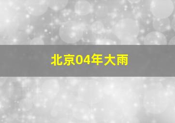 北京04年大雨