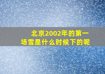 北京2002年的第一场雪是什么时候下的呢